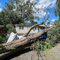 Navigating Inclement Weather for Running Programs in Loudoun County, VA