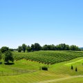 Exploring the Running Programs in Loudoun County, VA