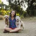 Bringing Your Dog to Running Programs in Loudoun County, VA
