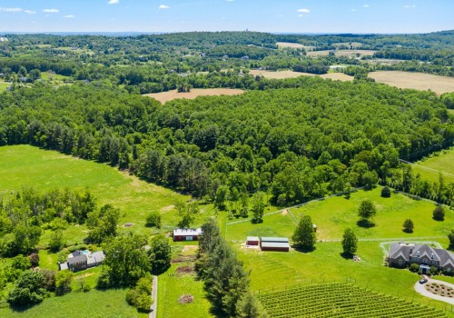 The Social Aspect of Running Programs in Loudoun County, VA
