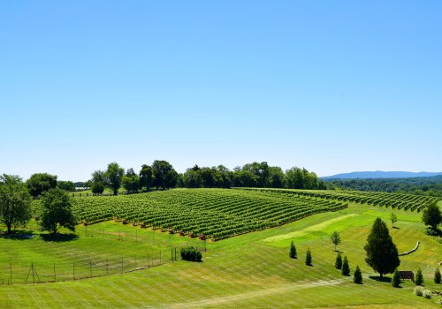 Exploring the Virtual Running Programs in Loudoun County, VA